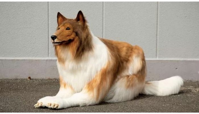 Cliente paga R$ 75 mil por fantasia realista de cachorro no Japão
